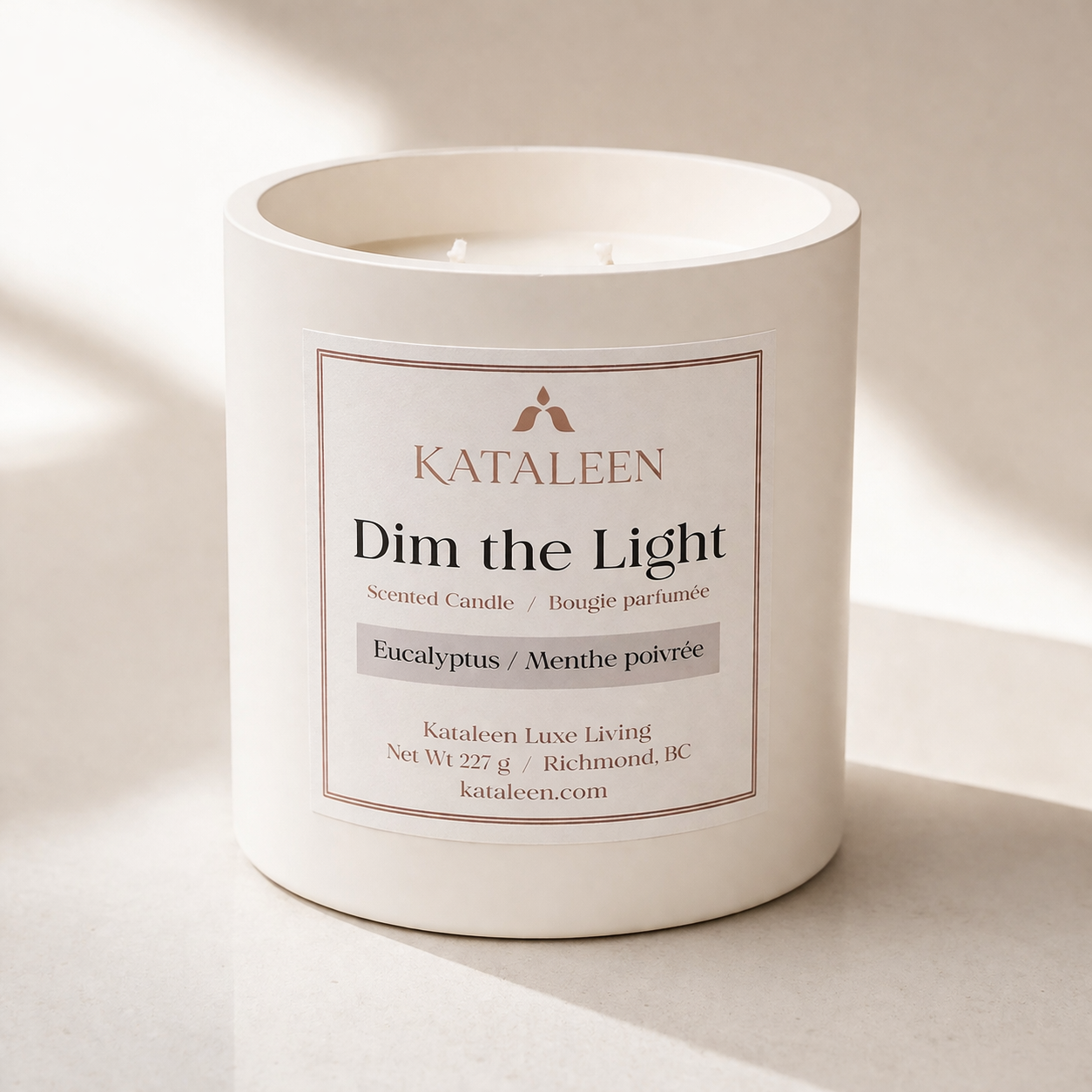 dim-the-light-1
